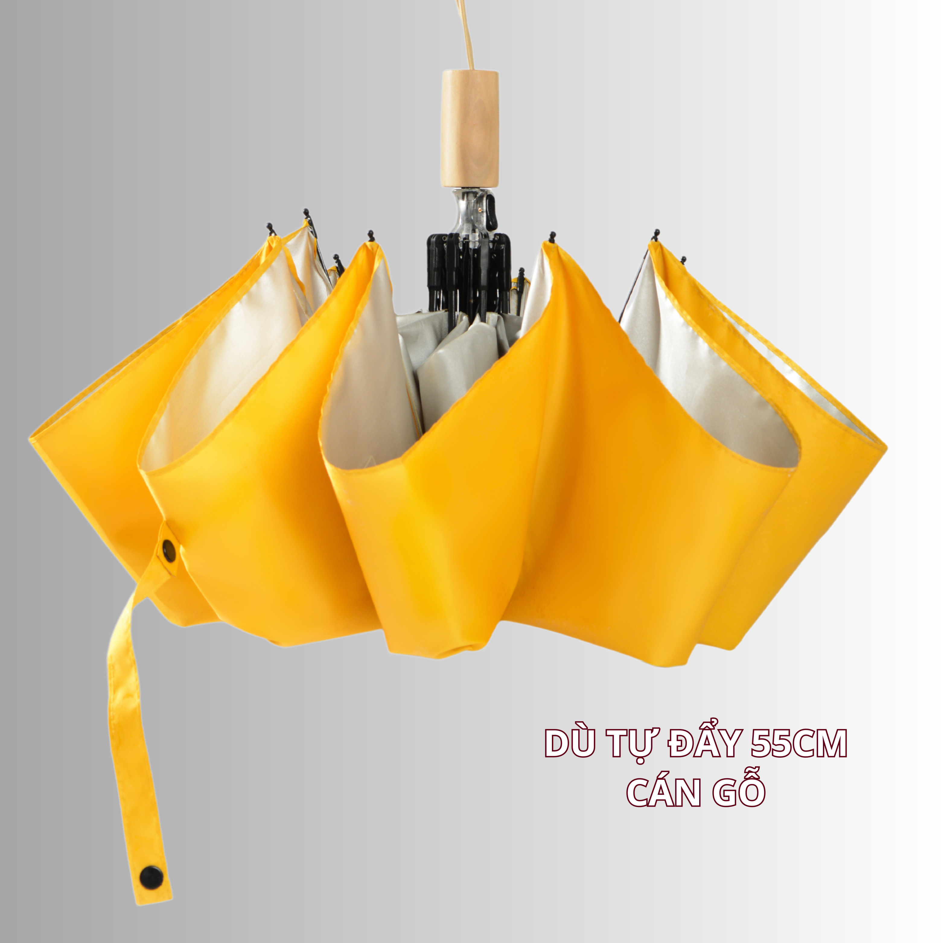 Dù Tự đẩy Cán Gỗ 2