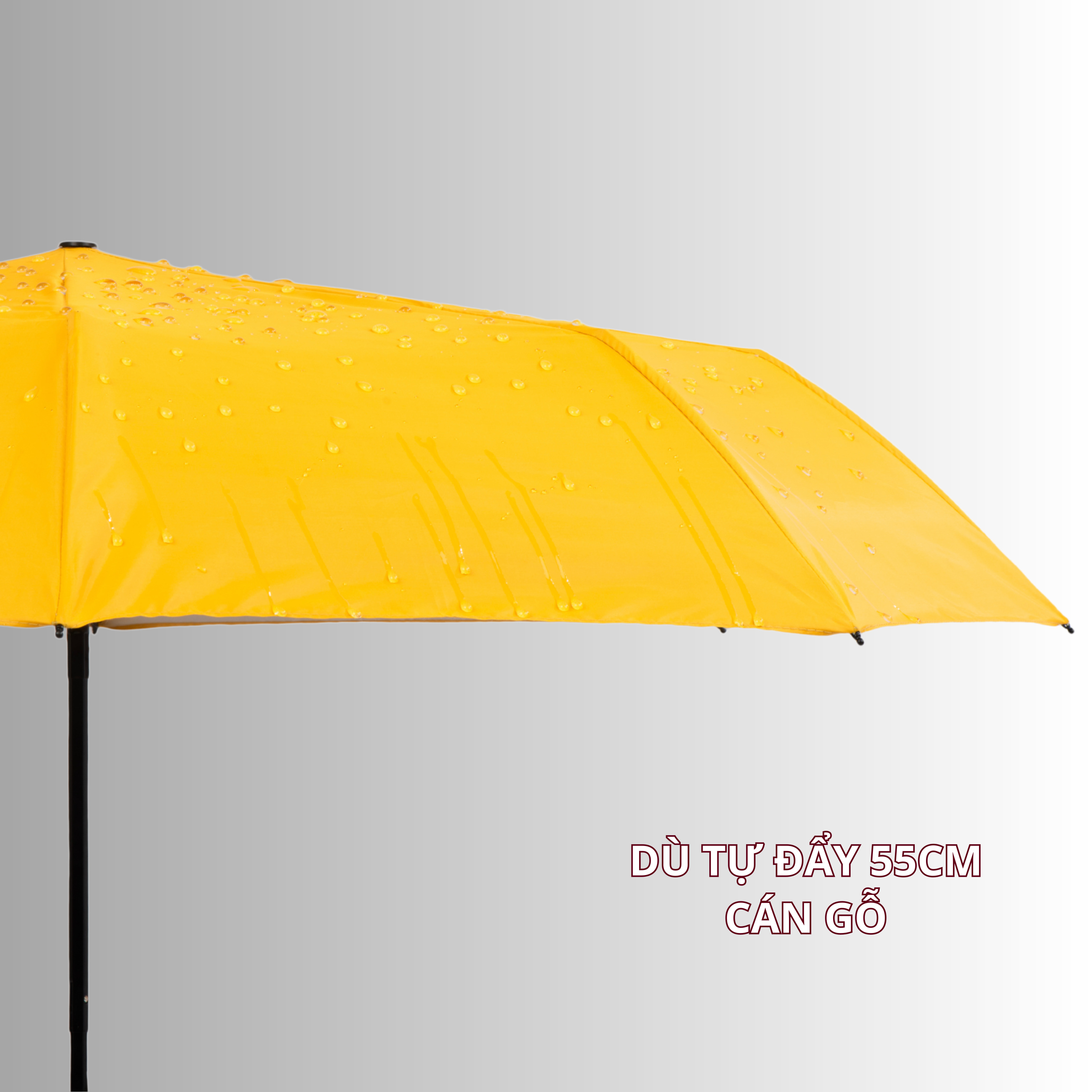 Dù Tự đẩy Cán Gỗ 3