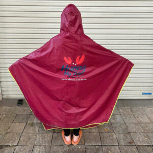 Z6878384101089 B4e3c841d4bc17bc1ee132e115f64c5c